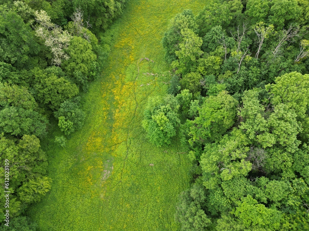 Aerial photography of the forest outside Lyon, France Aerial photography of the forest outside Lyon, France