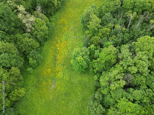 Fototapeta Naklejka Na Ścianę i Meble -  Aerial photography of the forest outside Lyon, France