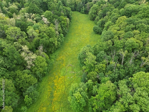 Aerial photography of the forest outside Lyon, France