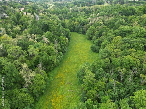 Aerial photography of the forest outside Lyon, France