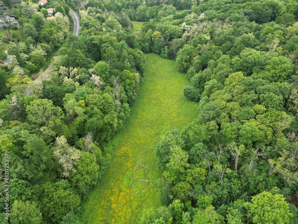 Aerial photography of the forest outside Lyon, France Aerial photography of the forest outside Lyon, France