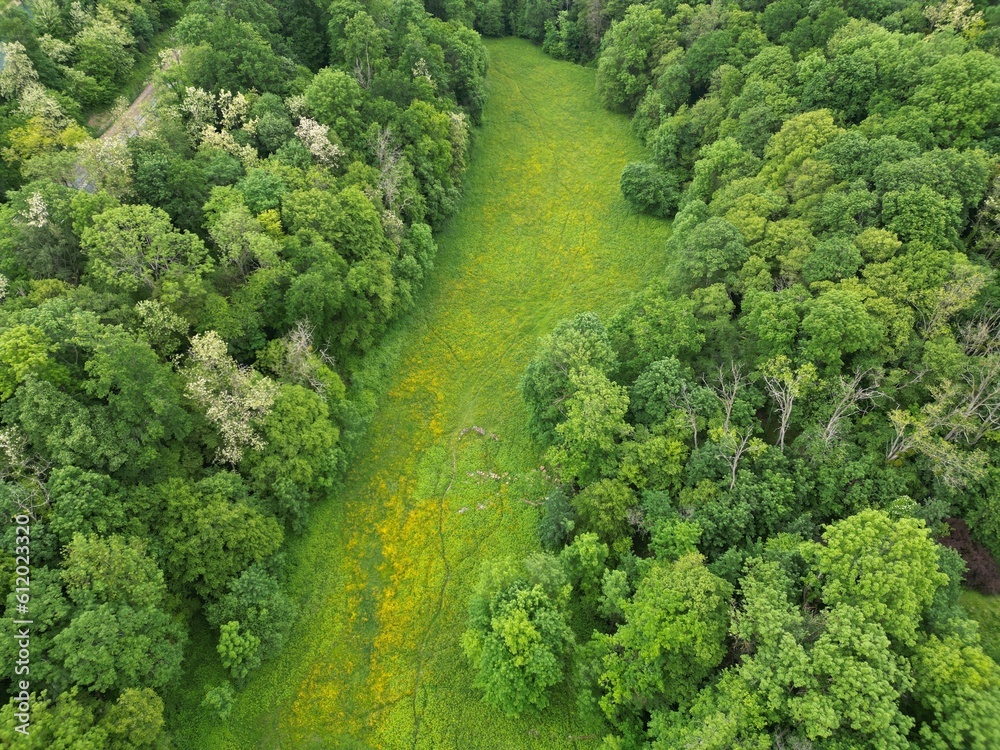 Aerial photography of the forest outside Lyon, France Aerial photography of the forest outside Lyon, France