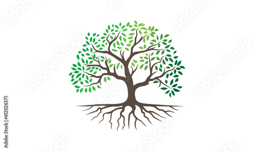 Tree vector illustrations roots mangrove tree vector isolated