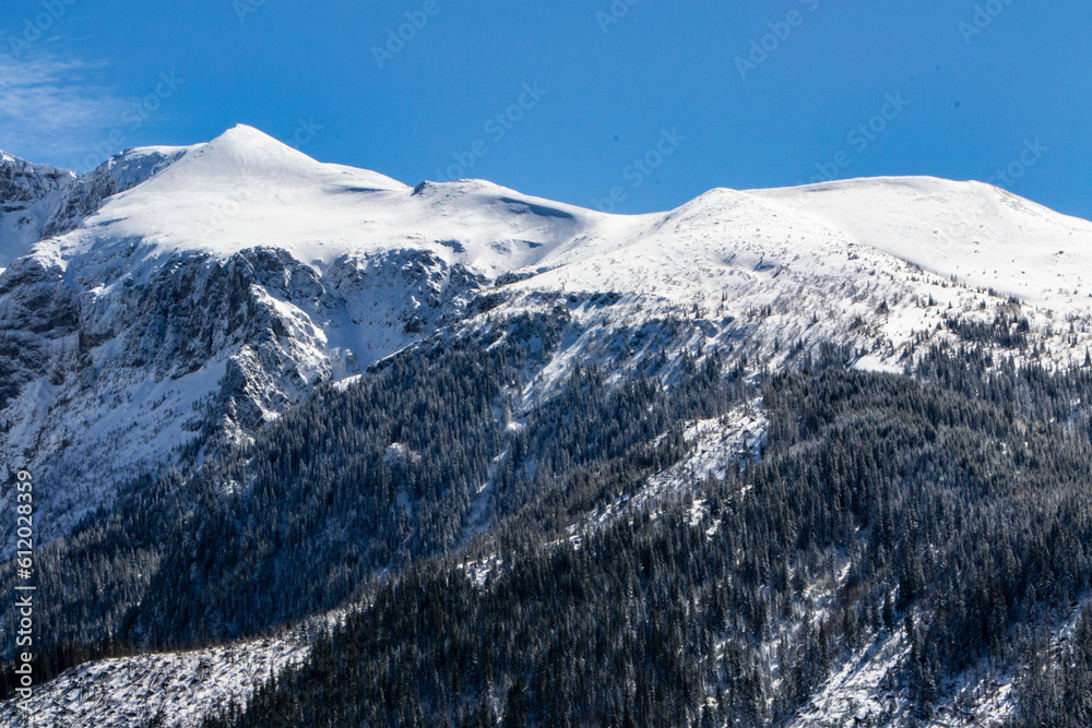 Tatry zima góry w śniegu, Tatry Zachodnie, Tatrzański Park Narodowy, góra, góry, las, czerwone wierchy, kościelisko, zakopane - obrazy, fototapety, plakaty 