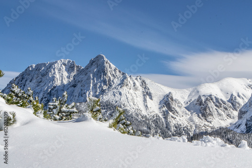 Fototapeta narty niebo góra drzewa śnieg