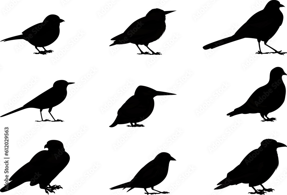 set of birds silhouettes set of birds silhouettes