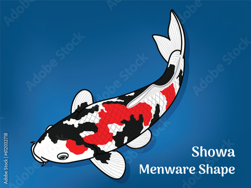 Vector image of Fancy carp or 
