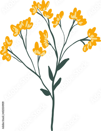 flower hand drawing illustration