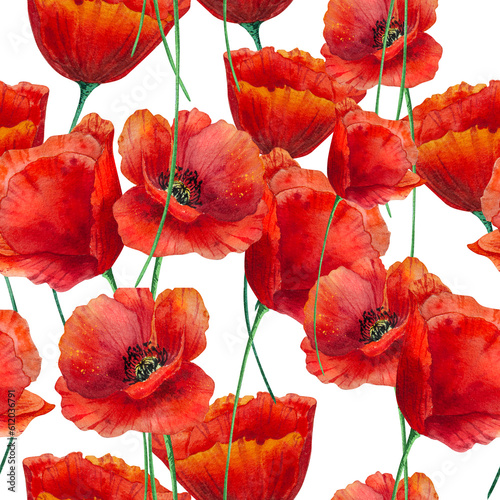 Poppy flowers, seamless pattern, watercolor, realistic, hand painted illustration