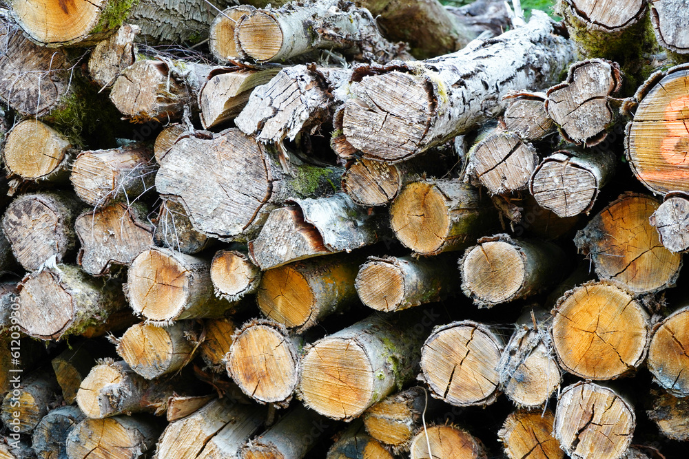 Close up of a pile of stacked logs Close up of a pile of stacked logs