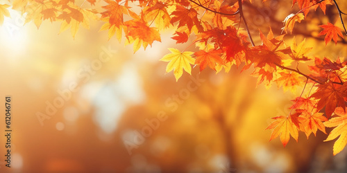 Herbstbl  tter Gelb und Orange im Gegenlicht Nahaufnahme  ai generativ