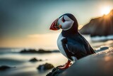 Atlantic puffin or common puffin or common puffin generated by ai
