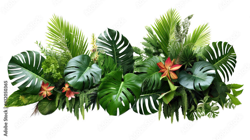 Pile of tropical flower leaf arrangement isolated Pile of tropical flower leaf arrangement isolated