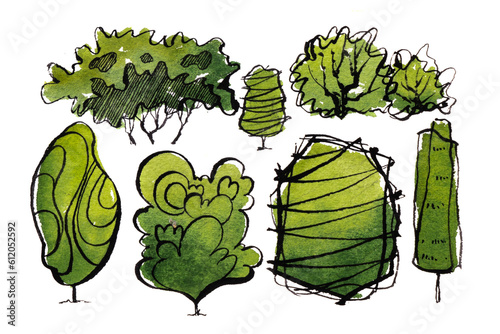 Collection plant shrub symbols of Landscape architect for decorate garden. Watercolor hand drawn painting with brushes strokes.Colorful splashing in the paper.It's wet texture background.