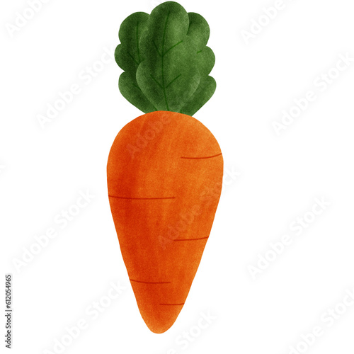 carrot