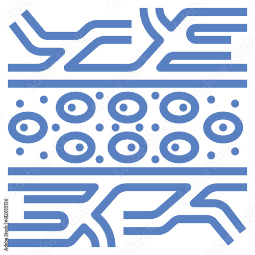 capillary