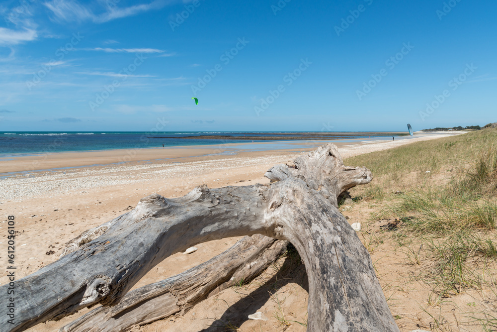 Ile d’Oléron (Charente-Maritime, France). Bois flotté et cerf-volant sur la plage des Huttes à Saint-Denis Ile d’Oléron (Charente-Maritime, France). Bois flotté et cerf-volant sur la plage des Huttes à Saint-Denis