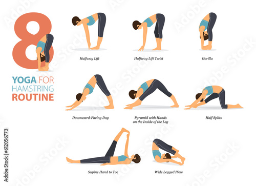 8 Yoga poses or asana posture for workout in hamstring routine concept. Women exercising for body stretching. Fitness infographic. Flat cartoon vector.