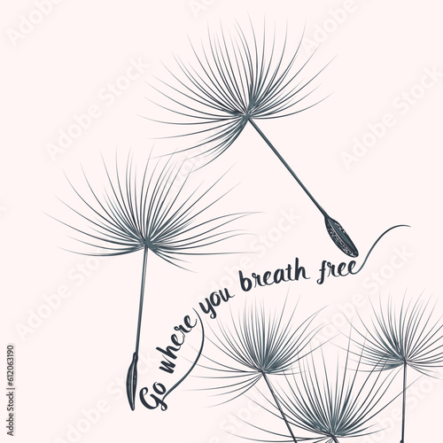 Fashion vector illustration dandelion seeds go where you breath free