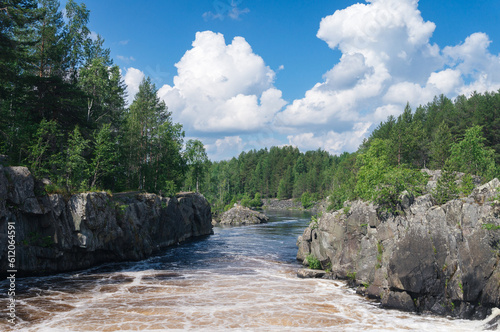 a river with a strong current in the forest in summer. Karelia, Russia