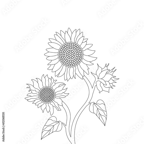 Sunflower Vector Line Art Summer Nature Hand Drawn illustration