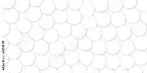 Fototapeta Naklejka Na Ścianę i Meble -  White and grey abstract modern transparency circle presentation background. Vector circles template vector design. Object web design. Round shape. Minimal poster.