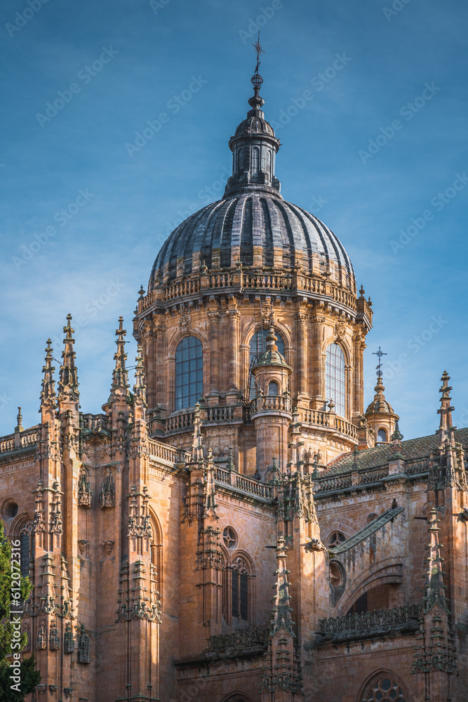 Close up view of Salamanca Cathedral Close up view of Salamanca Cathedral