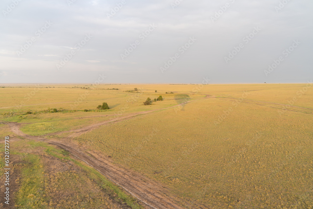 Hot air balloon shadow on the plains of the Masaai Mara in Kenya Africa. Dirt roads and zebras in distance