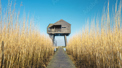 Beautiful landscape in the north of the Netherlands. Drieborg, Groningen.