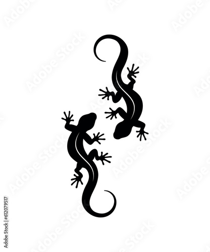 Two lizards silhouettes