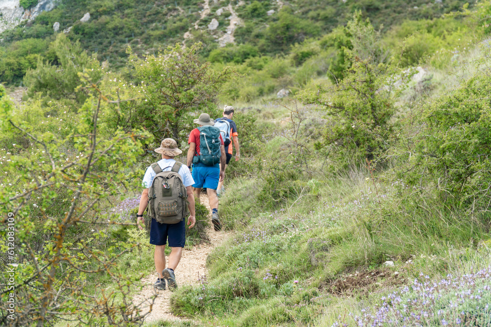 Three hikers walk in a file along a path full of vegetation