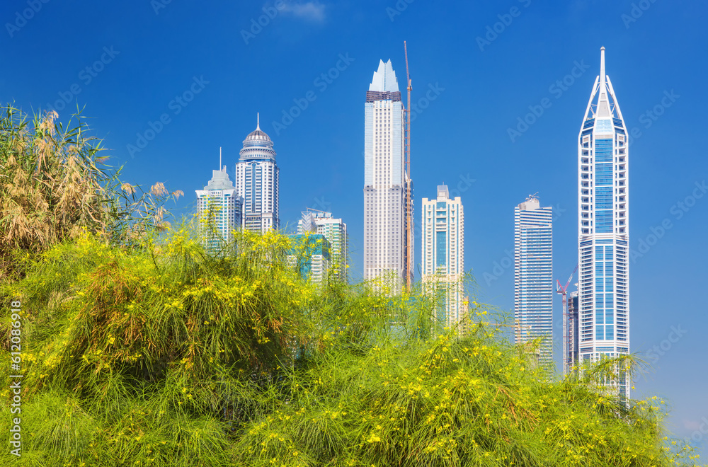 View on Dubai Marina skyscrapers and nature near by Golf club in Dubai,United Arab Emirates