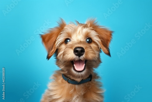 Portrait of a beautiful happy dog isolated on blue background. High quality photo Generative AI