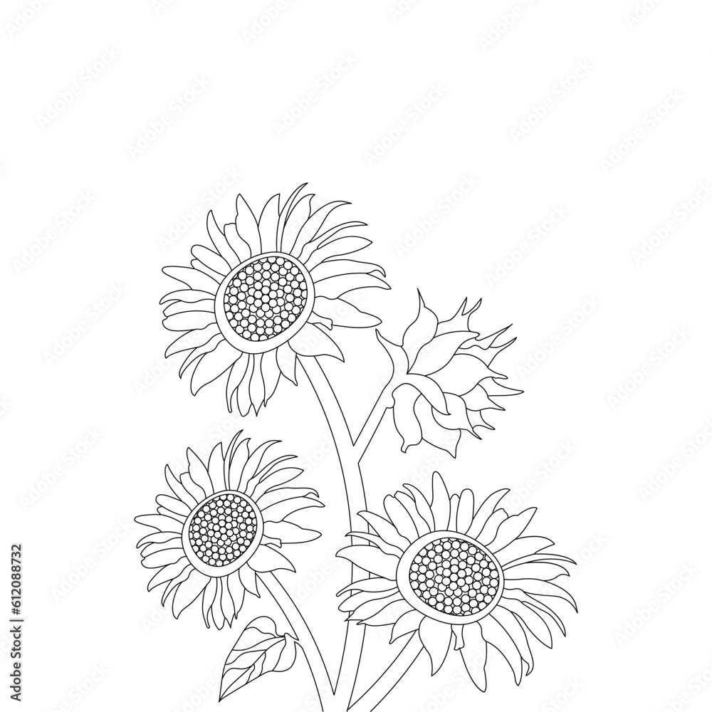 Fototapeta premium Sketch of Sunflower Hand Drawn Outline Vector