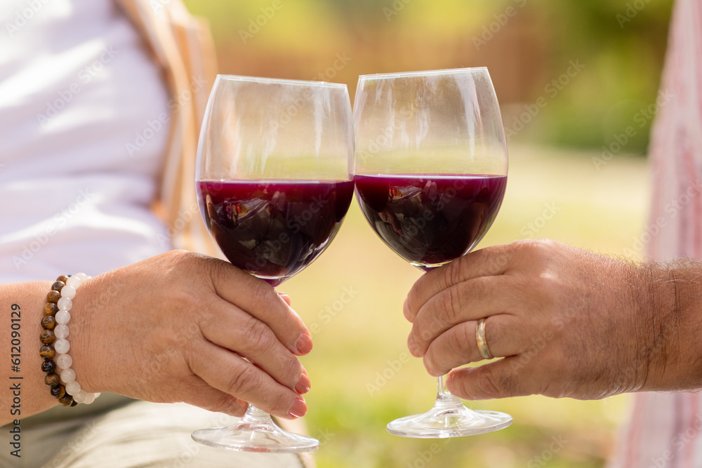 European mature couple cheers with glasses of red wine, enjoy picnic date in park, outdoor, cropped European mature couple cheers with glasses of red wine, enjoy picnic date in park, outdoor, cropped