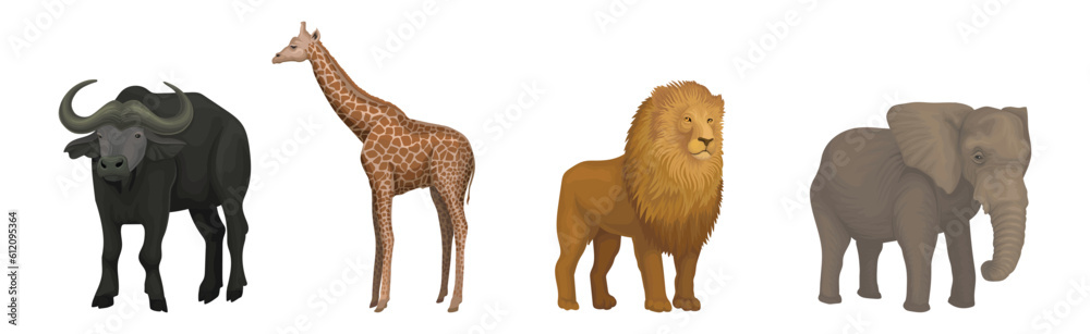 African Animal with Buffalo, Giraffe, Lion and Elephant Vector Set