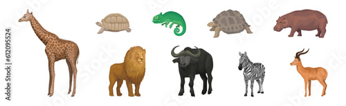 African Animal with Buffalo, Giraffe, Lion, Turtle and Hippo Vector Set