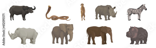 African Animal with Buffalo, Cobra, Meerkat, Rhino, Zebra, Elephant and Hippo Vector Set
