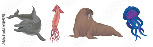 Marine Habitant with Dolphin, Squid, Walrus and Jellyfish Vector Set
