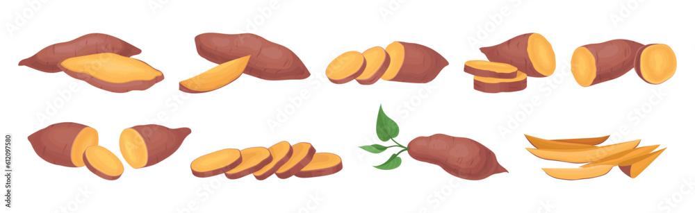 Sweet Potato as Large, Starchy, Sweet-tasting Tuberous Root Vegetable Vector Set Sweet Potato as Large, Starchy, Sweet-tasting Tuberous Root Vegetable Vector Set