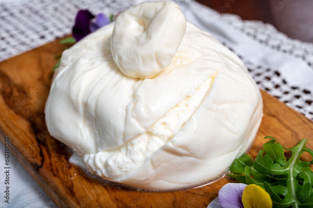 Eating of fresh handmade soft Italian cheese from Puglia, white balls of burrata foglia saporosa or burratina cheese made from mozzarella and cream filling close up Eating of fresh handmade soft Italian cheese from Puglia, white balls of burrata foglia saporosa or burratina cheese made from mozzarella and cream filling close up