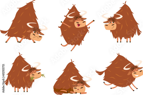 Yak. Cartoon funny character wild animal with fur in action poses exact vector yak bull photo