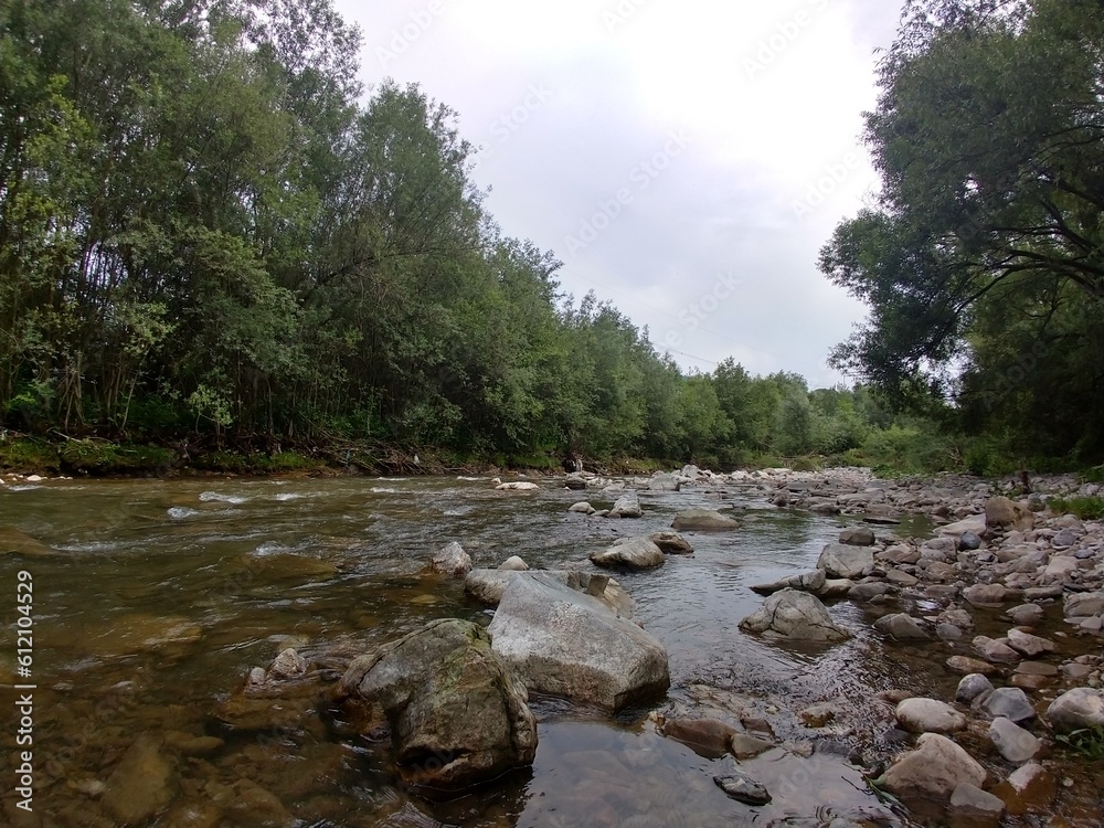River, lake or the brook flowing in the wild nature. Slovakia