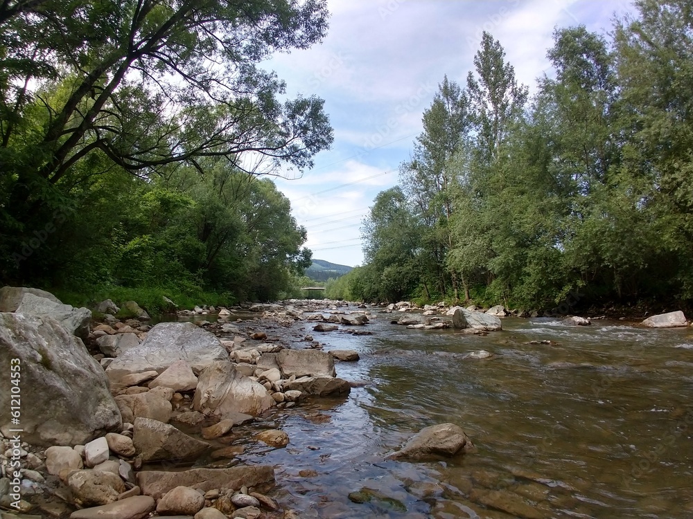 River, lake or the brook flowing in the wild nature. Slovakia River, lake or the brook flowing in the wild nature. Slovakia