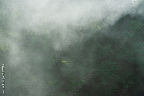 Smoke on the background of the foliage of trees.