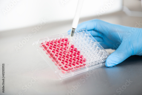 cell culture at the laboratory of cell culture  medical and medicine 