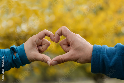 hands holding heart