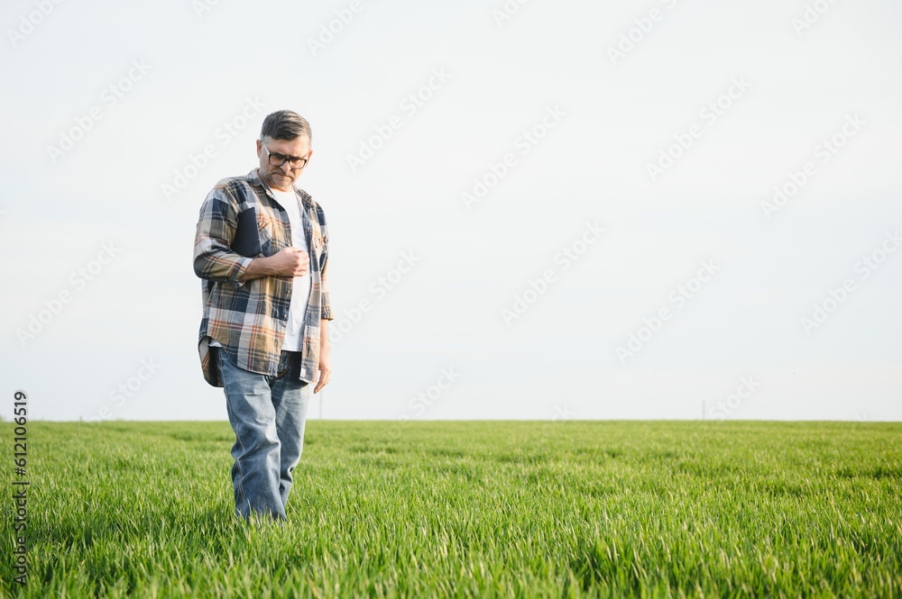 Portrait of senior farmer standing in green wheat field. Portrait of senior farmer standing in green wheat field.