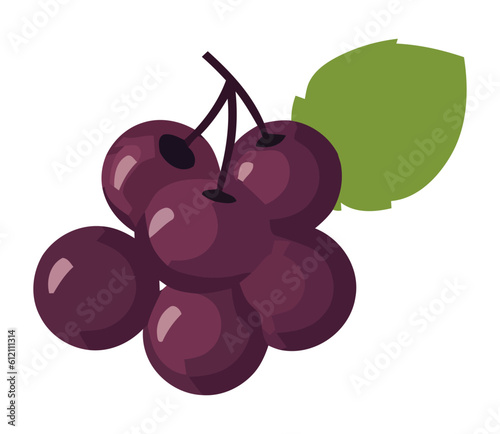 Juicy grape bunch, ripe for healthy eating