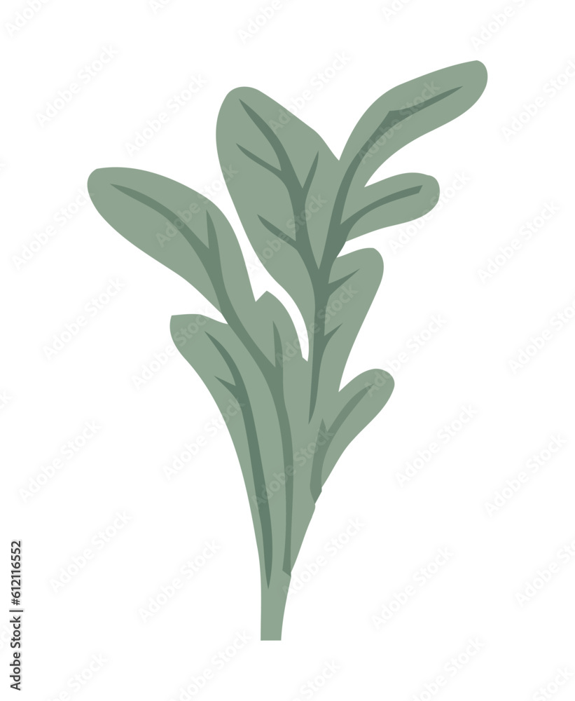 Fresh green herbs and spices for healthy eating Fresh green herbs and spices for healthy eating